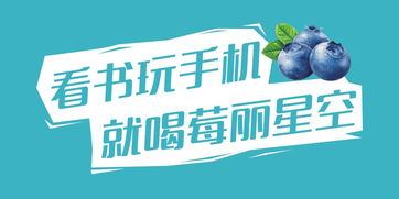 莓麗星空 藍莓酵素果汁禮盒包裝與品牌咨詢策劃