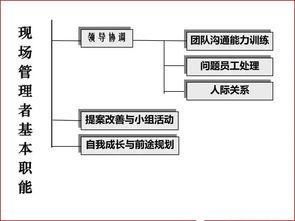 優(yōu)秀班組長必備管理技能 軟件與信息技術(shù)服務(wù)業(yè)的投資與管理